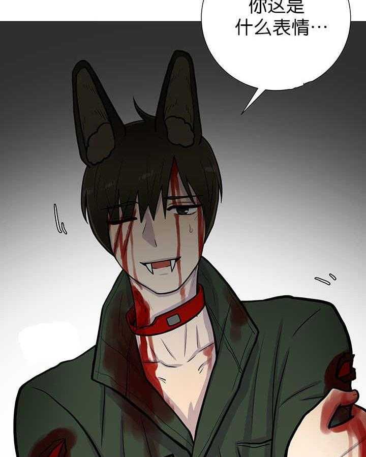 旷野之息（共2季） 第9话 第17页