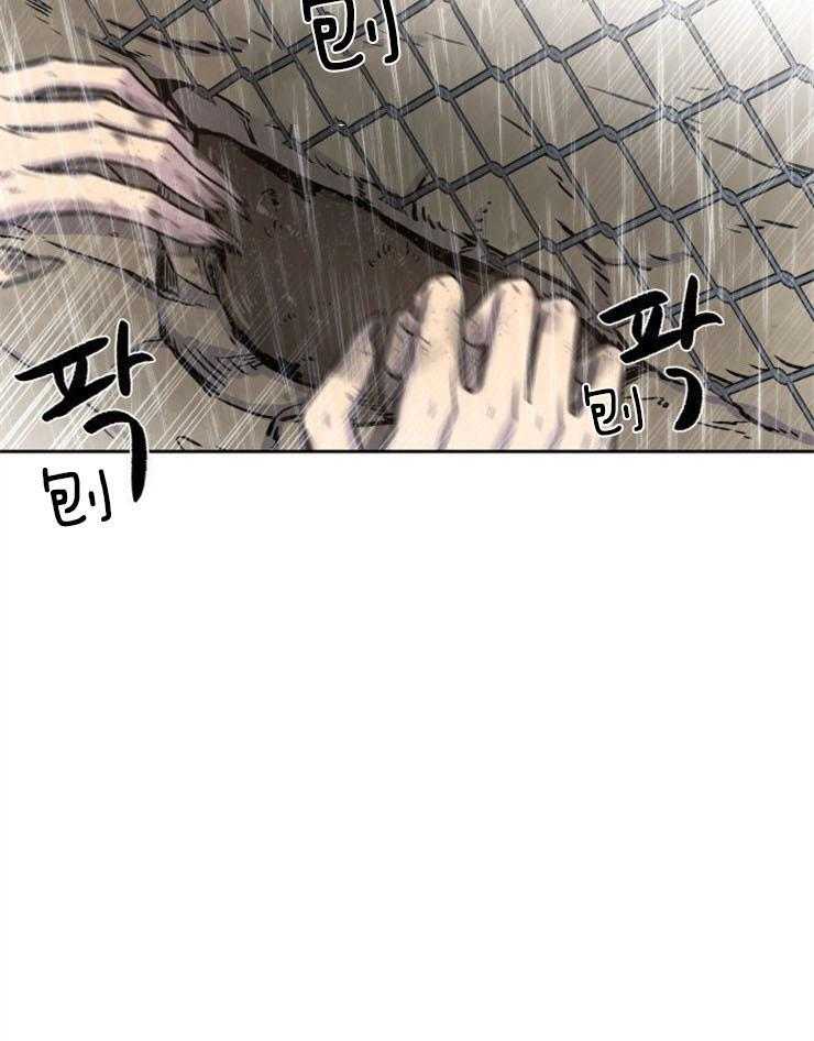 旷野之息（共2季） 第90话 第36页