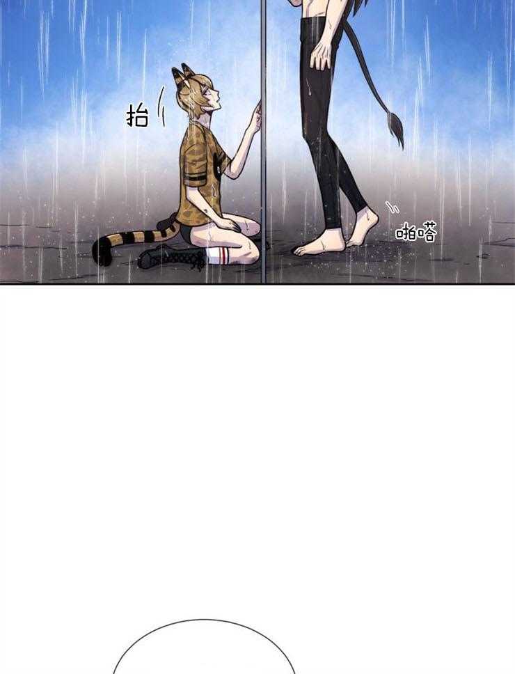 旷野之息（共2季） 第91话 第14页