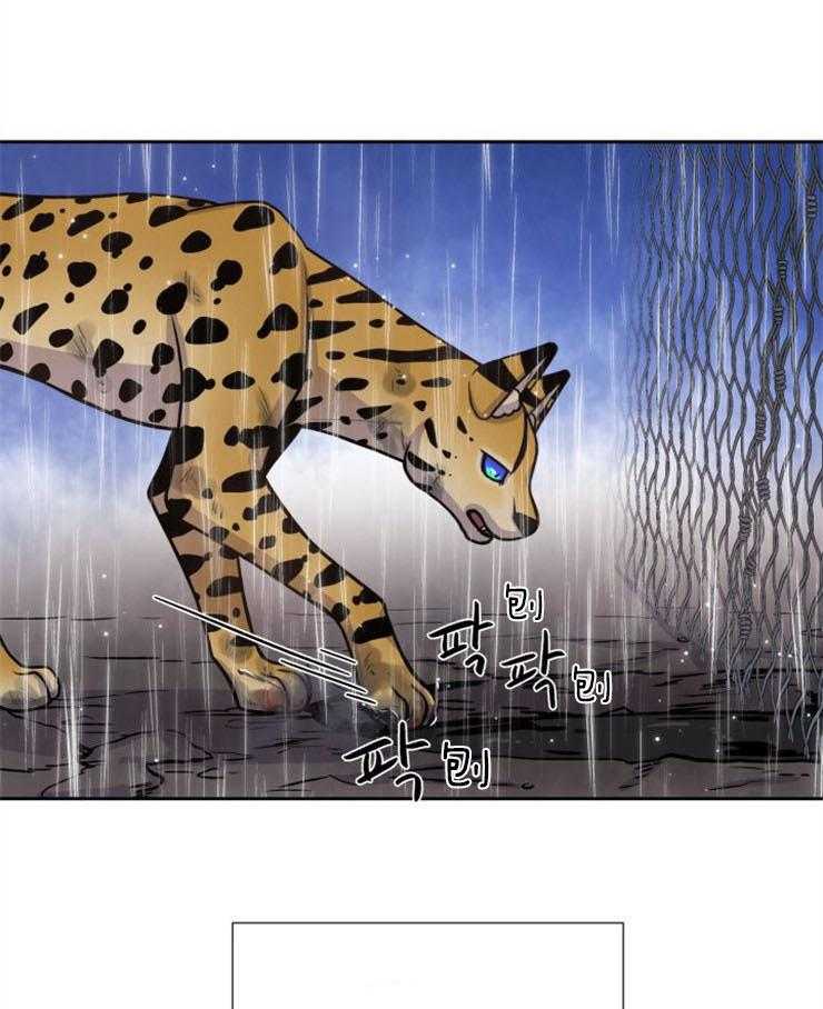 旷野之息（共2季） 第91话 第26页