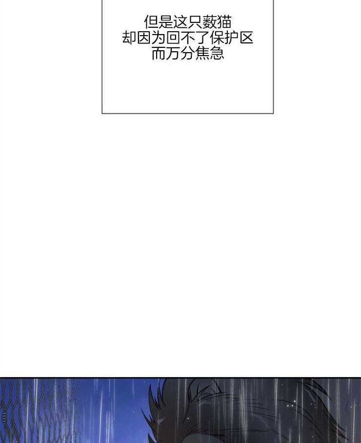 旷野之息（共2季） 第91话 第27页