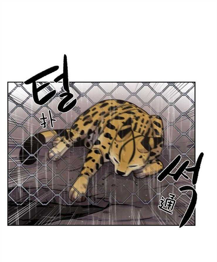 旷野之息（共2季） 第91话 第33页