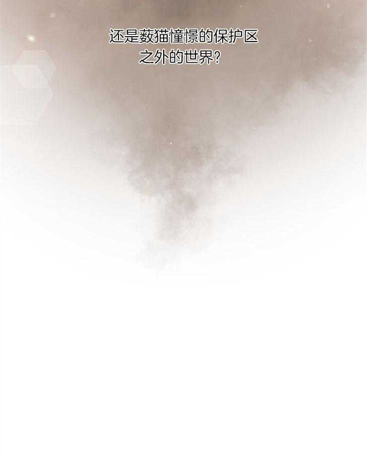 旷野之息（共2季） 第91话 第48页