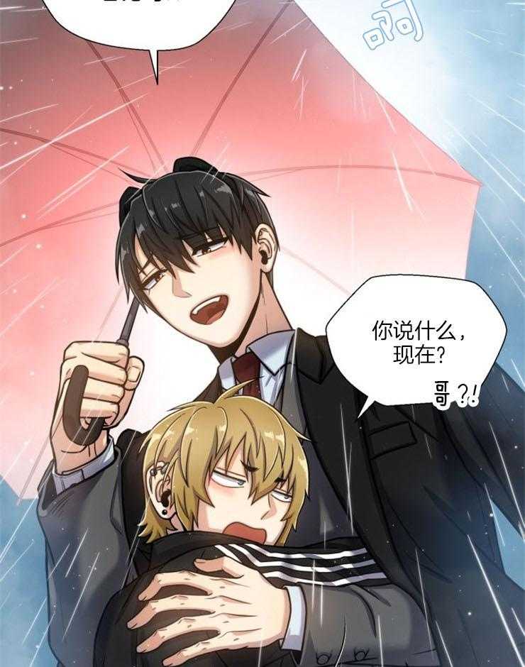 旷野之息（共2季） 第93话 第29页