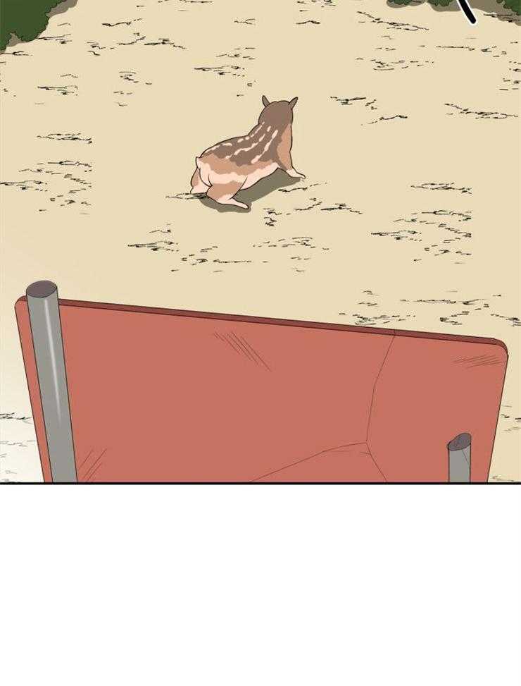 旷野之息（共2季） 第94话 第5页