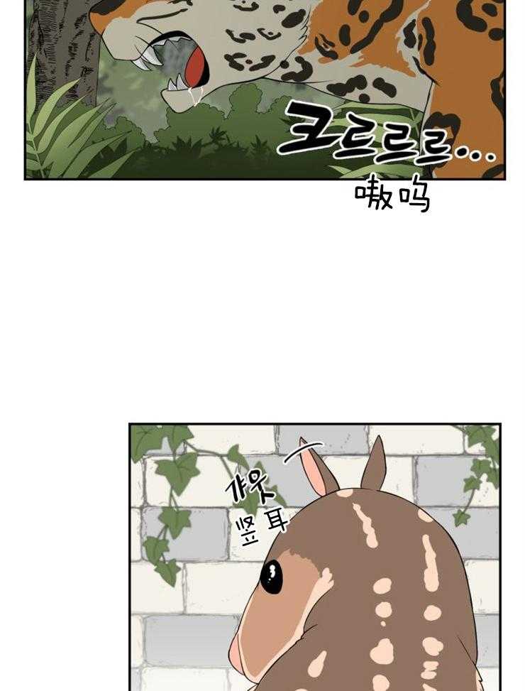 旷野之息（共2季） 第94话 第11页