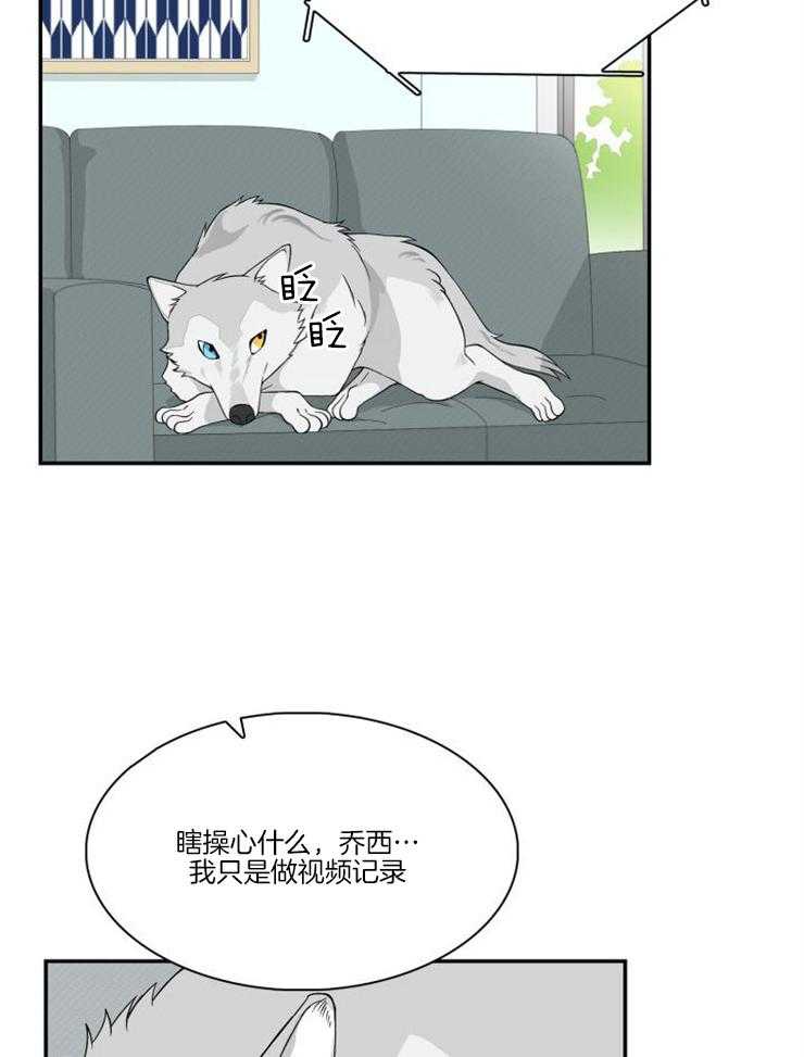 旷野之息（共2季） 第94话 第14页