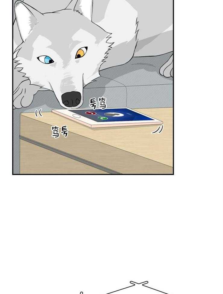 旷野之息（共2季） 第94话 第15页