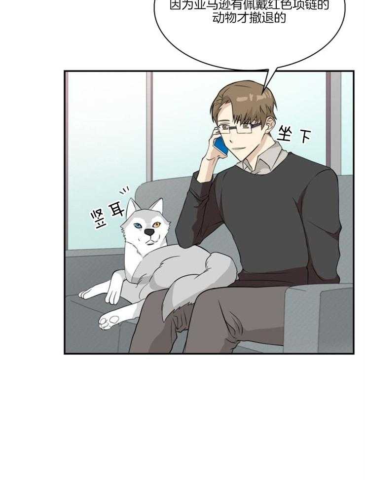 旷野之息（共2季） 第94话 第22页