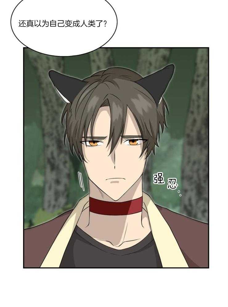 旷野之息（共2季） 第95话 第5页