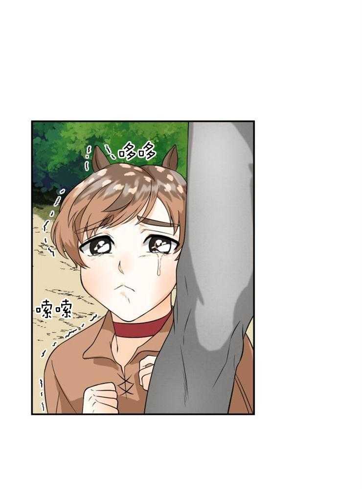 旷野之息（共2季） 第95话 第6页