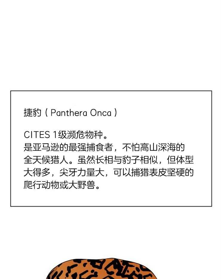 旷野之息（共2季） 第95话 第26页