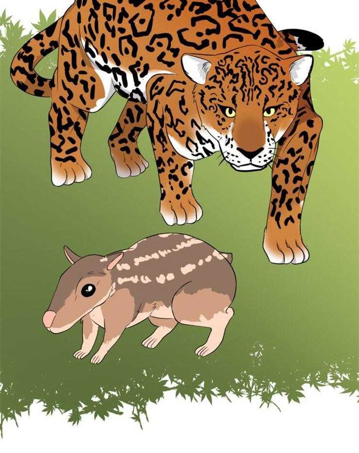 旷野之息（共2季） 第95话 第27页