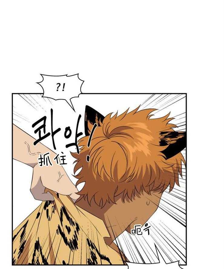 旷野之息（共2季） 第96话 第0页