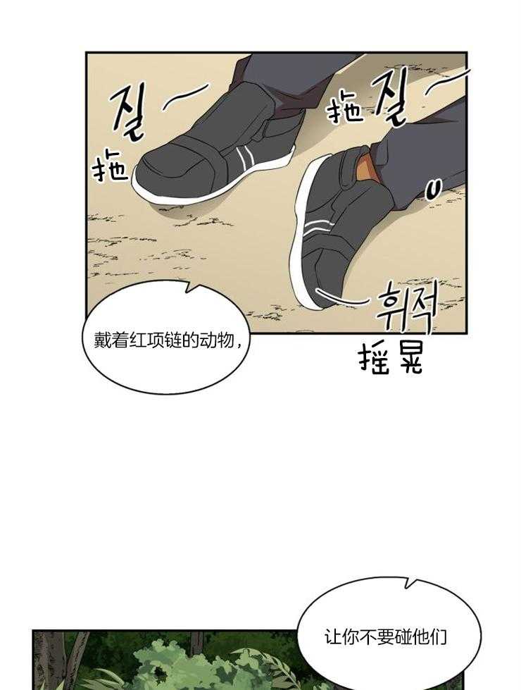 旷野之息（共2季） 第96话 第5页