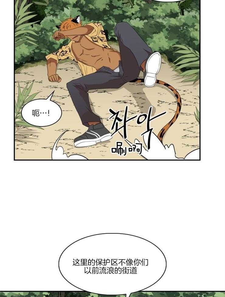 旷野之息（共2季） 第96话 第6页