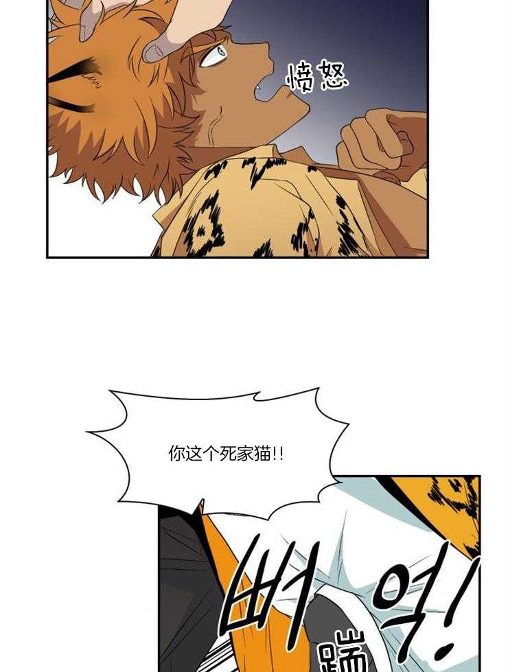 旷野之息（共2季） 第96话 第9页