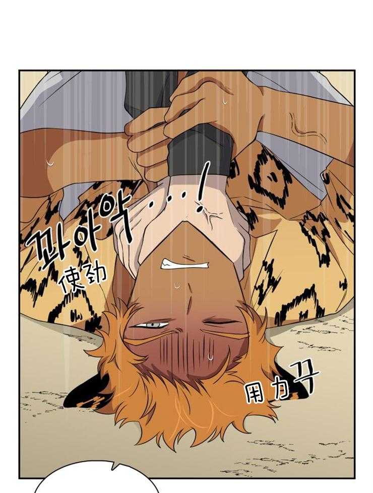 旷野之息（共2季） 第96话 第16页