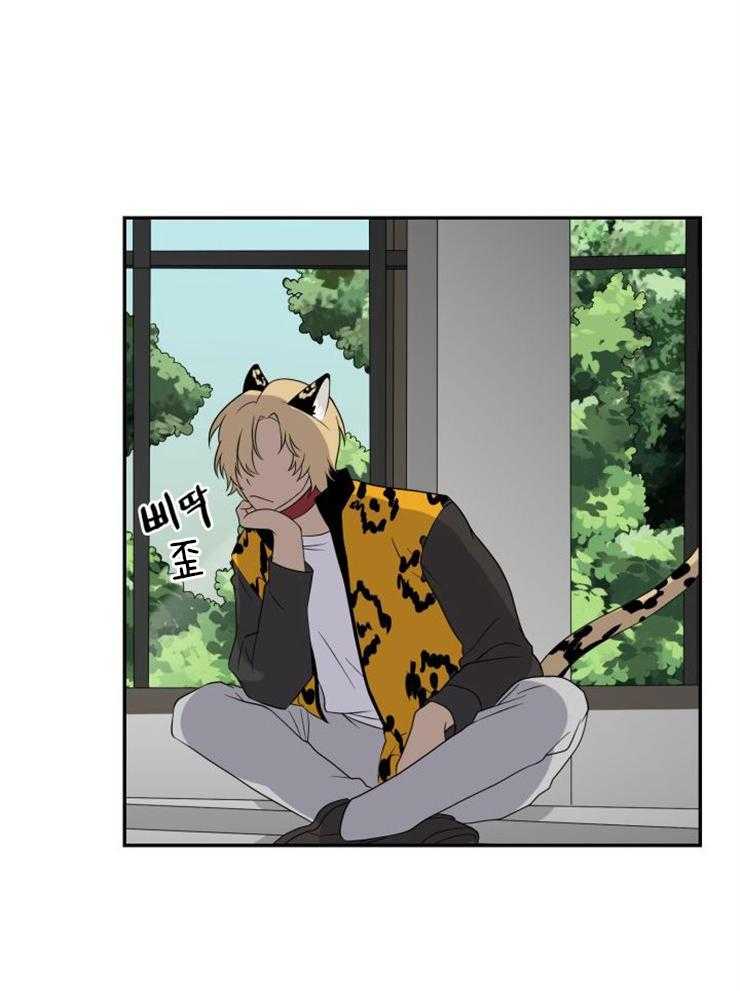 旷野之息（共2季） 第97话 第1页