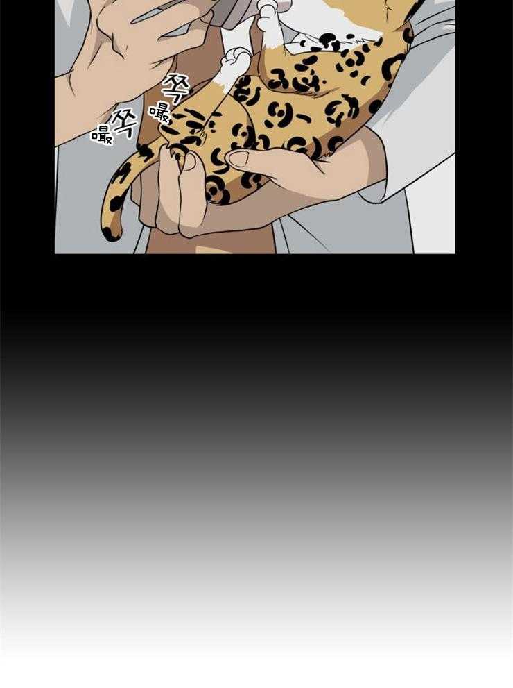 旷野之息（共2季） 第97话 第15页