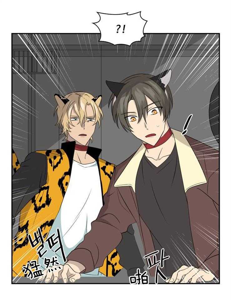 旷野之息（共2季） 第97话 第19页