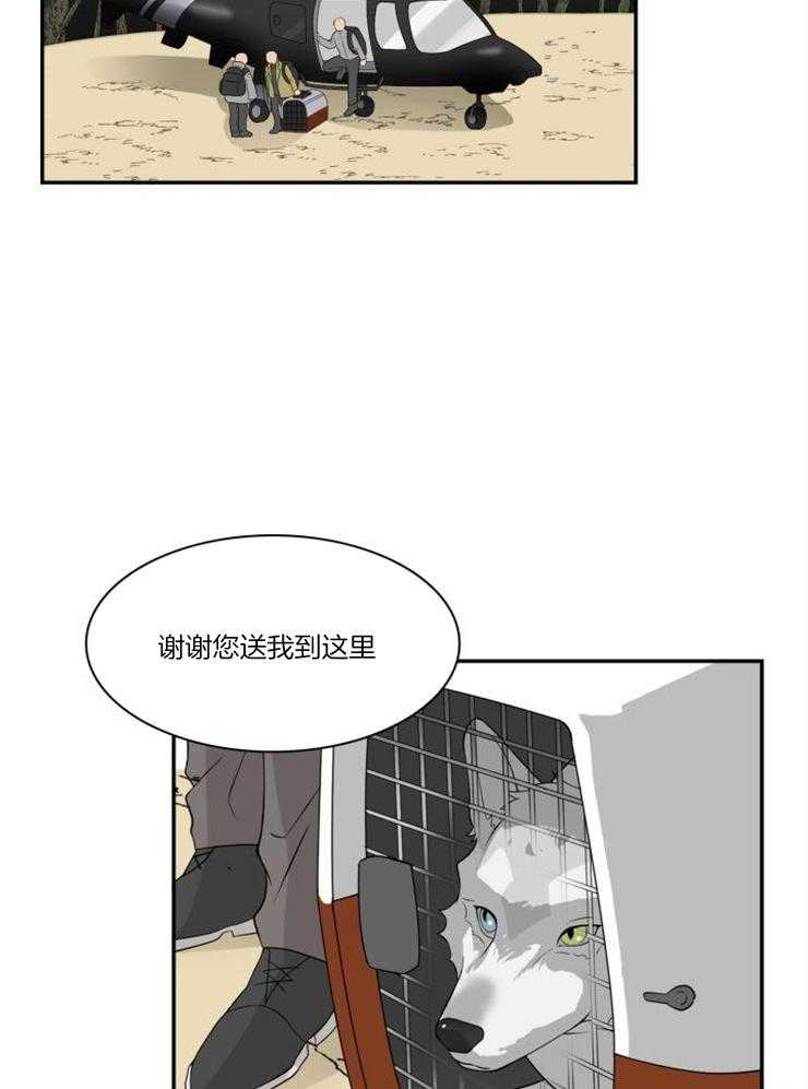 旷野之息（共2季） 第98话 第3页