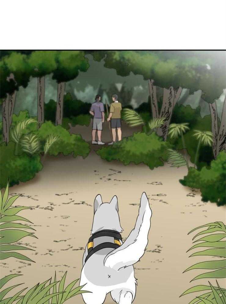 旷野之息（共2季） 第98话 第8页