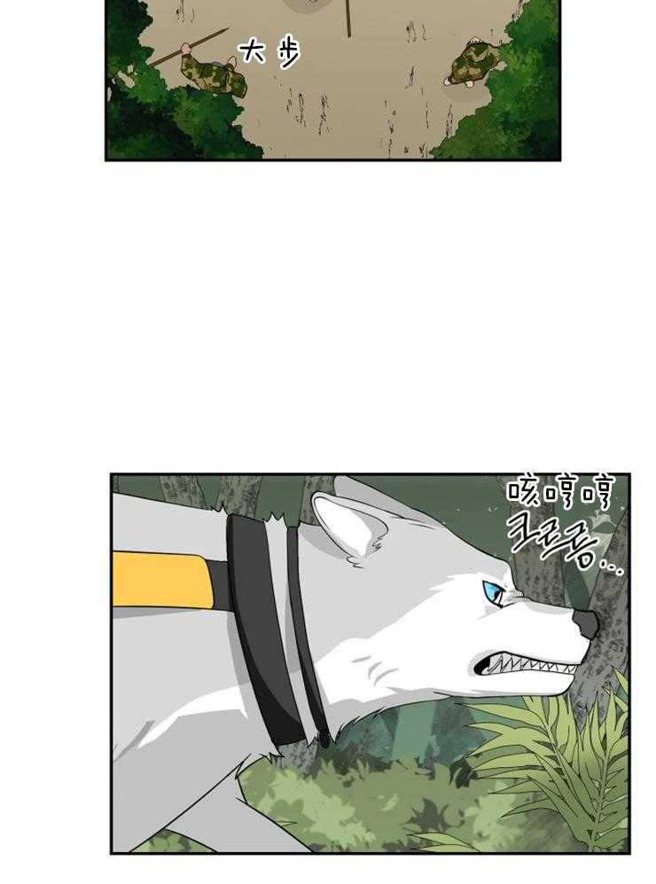 旷野之息（共2季） 第98话 第18页