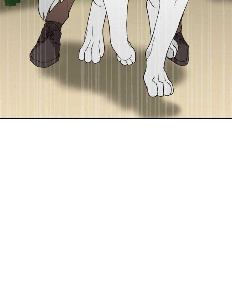 旷野之息（共2季） 第98话 第23页