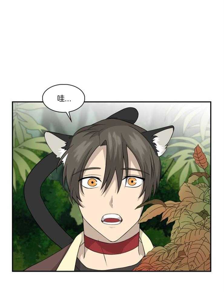 旷野之息（共2季） 第99话 第0页