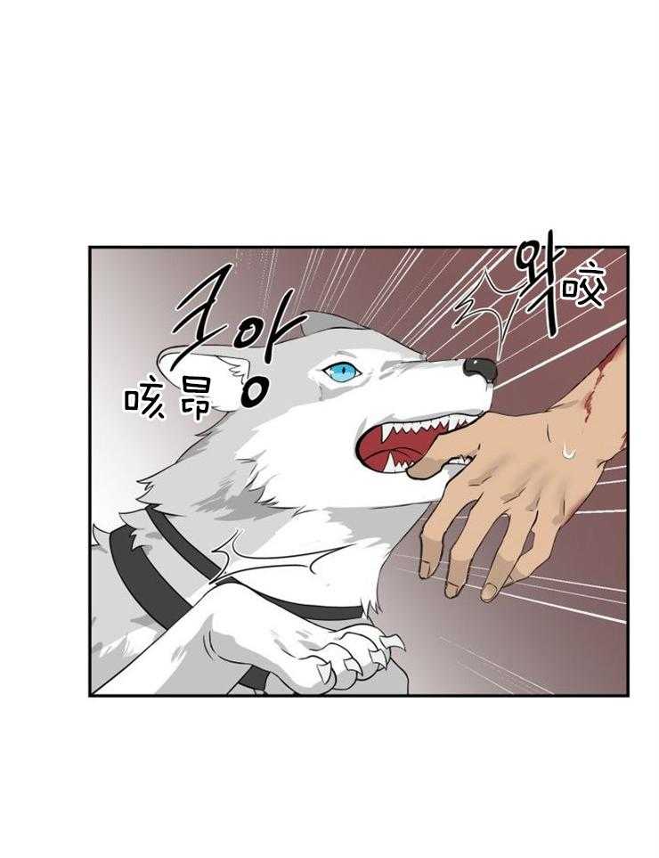 旷野之息（共2季） 第99话 第3页