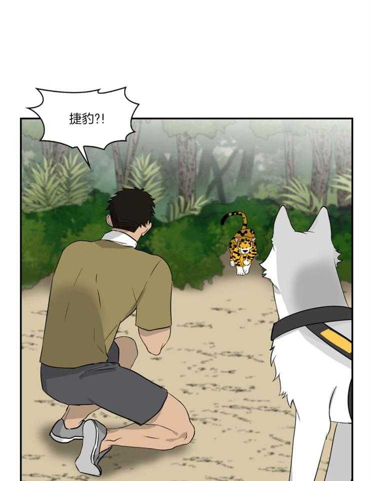 旷野之息（共2季） 第99话 第9页