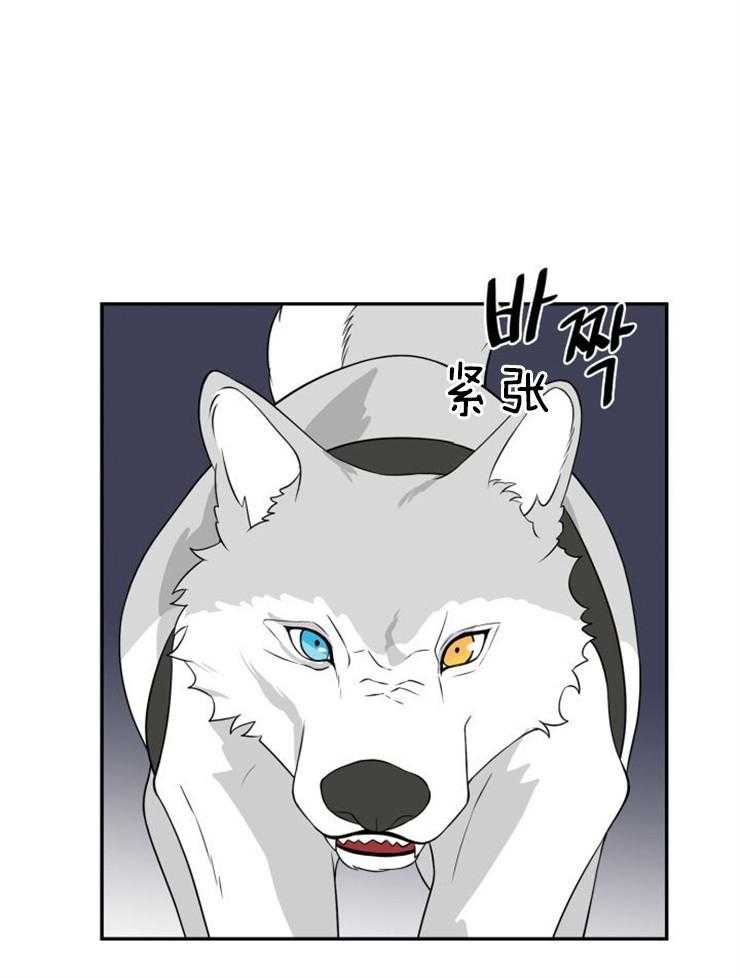 旷野之息（共2季） 第99话 第16页