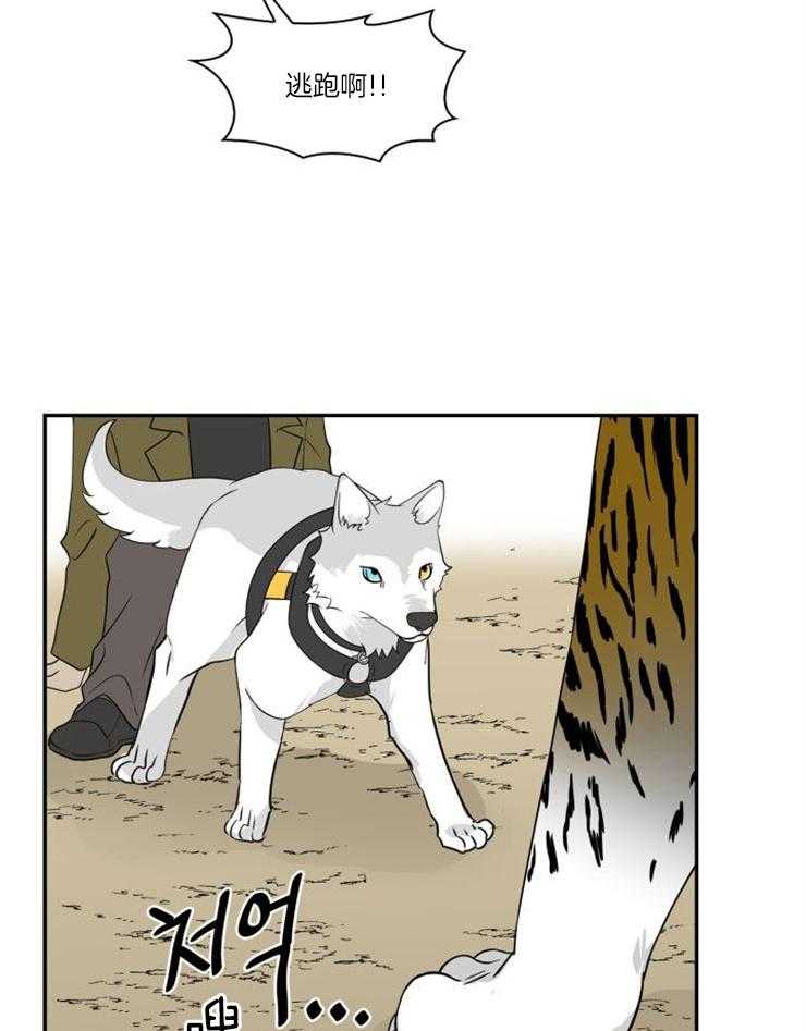 旷野之息（共2季） 第99话 第19页