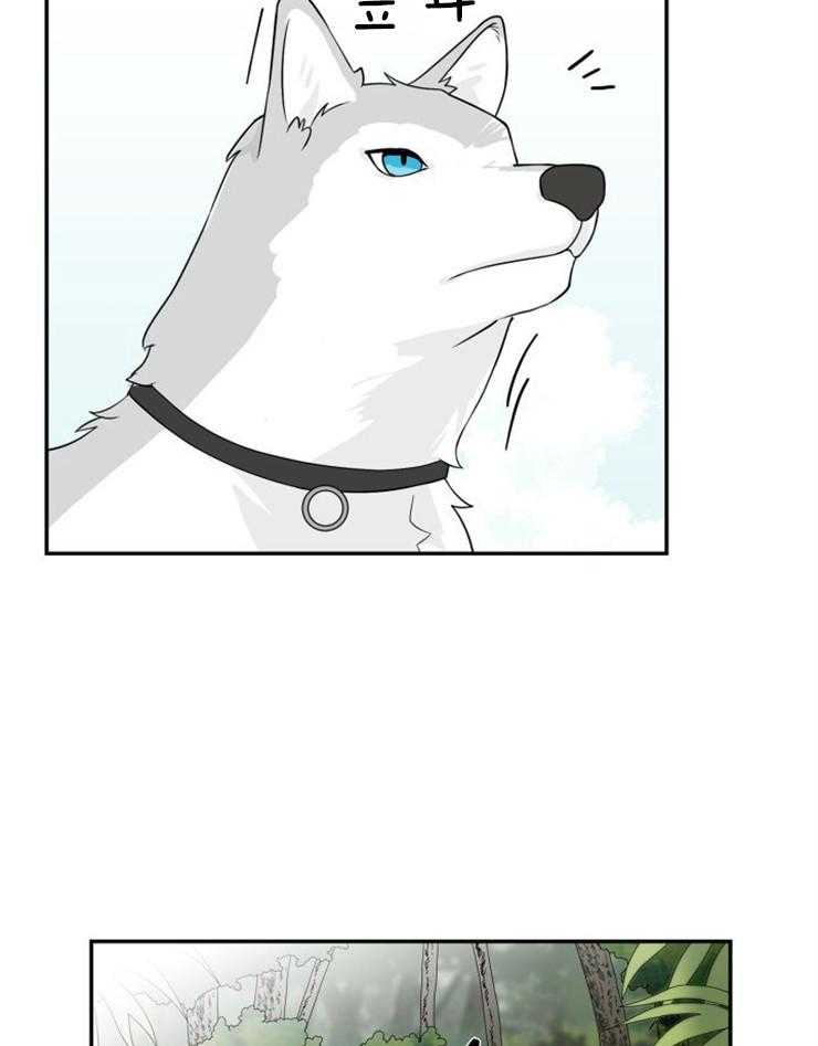 旷野之息（共2季） 第99话 第25页