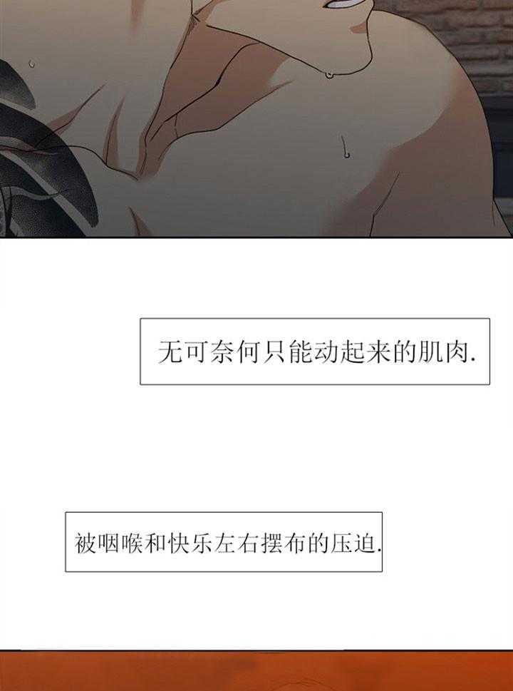 狂热幻想第13话图