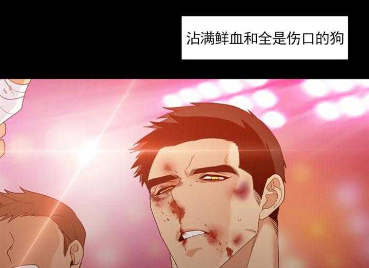 狂热幻想 第20话 第16页