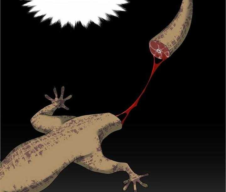 狂热幻想 第83话 第13页