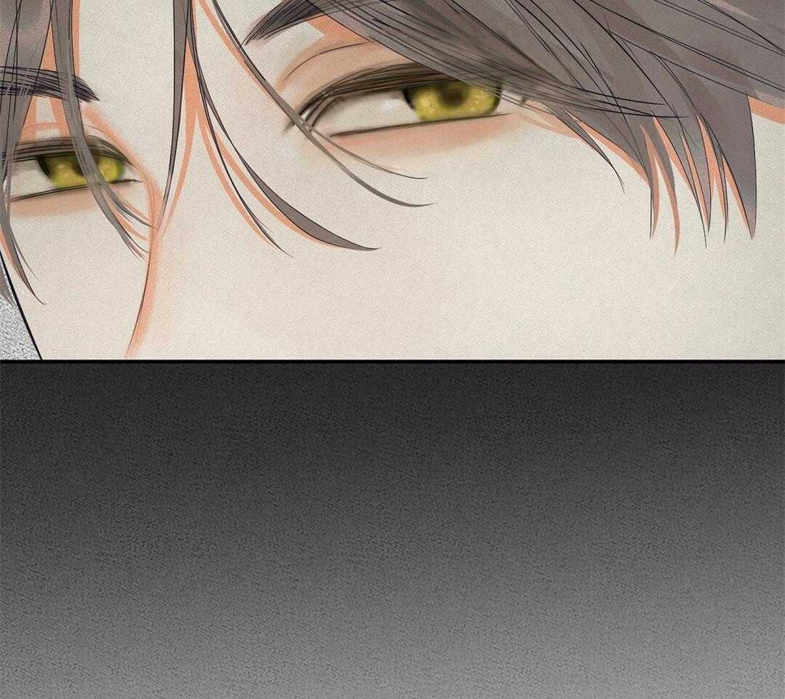 苦味柠檬第30话图