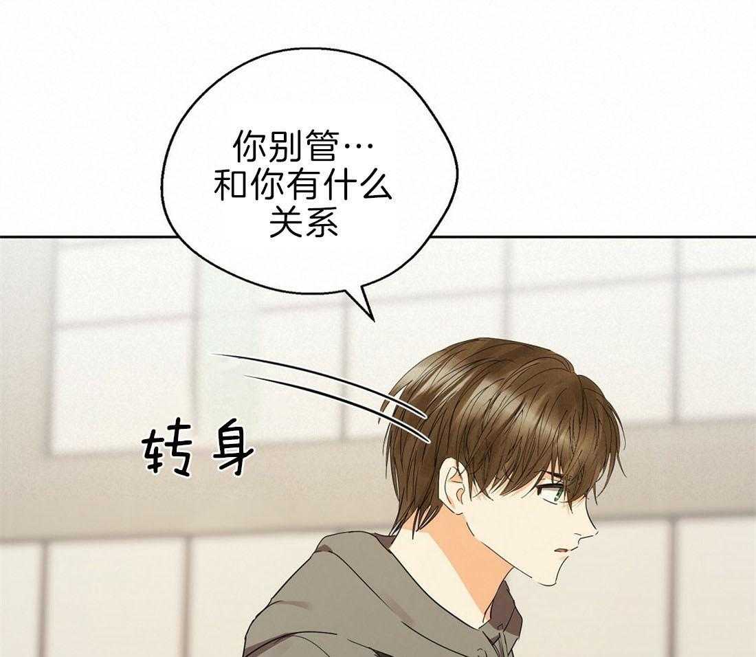 苦味柠檬第44话图