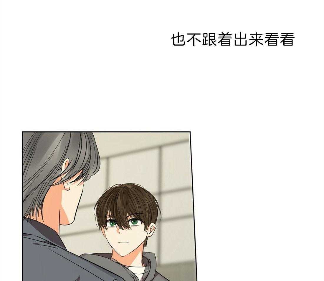 苦味柠檬第44话图