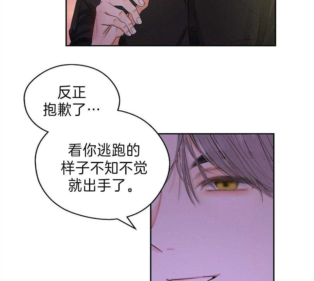 苦味柠檬第9话图