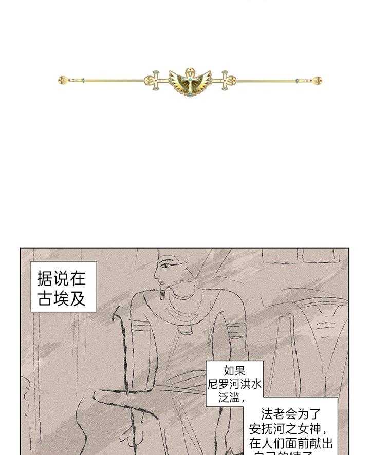 开罗 第11话 第0页