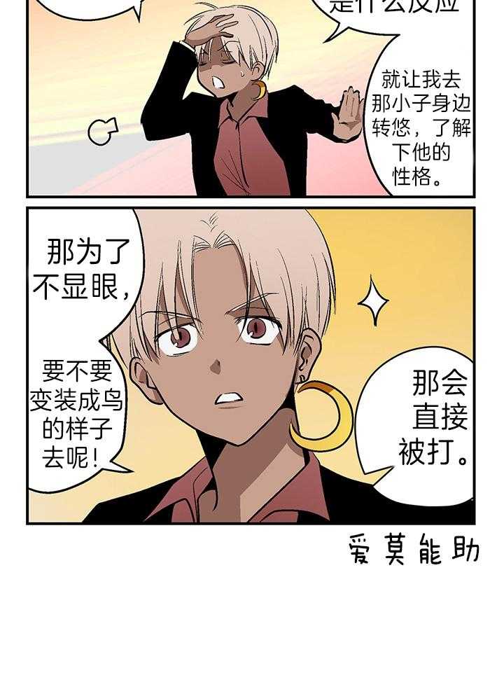 开罗第33话图