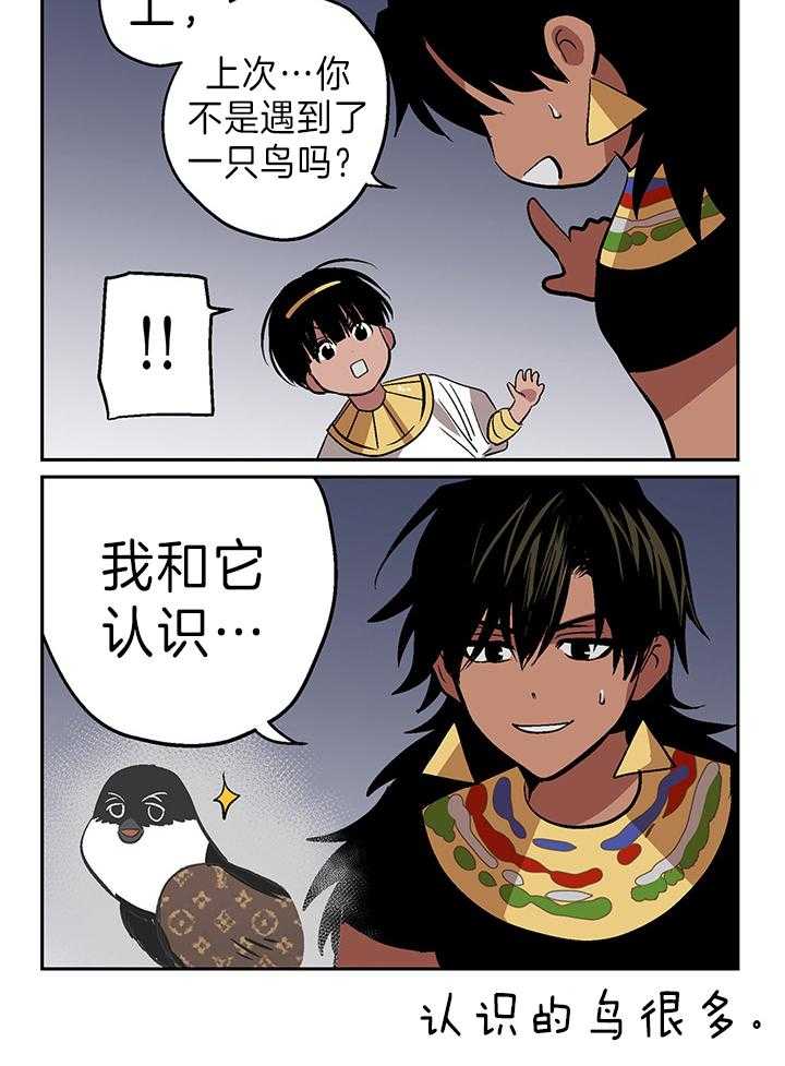 开罗 第49话 第2页