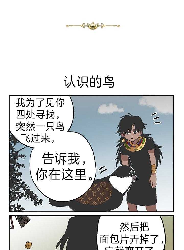 开罗 第49话 第3页