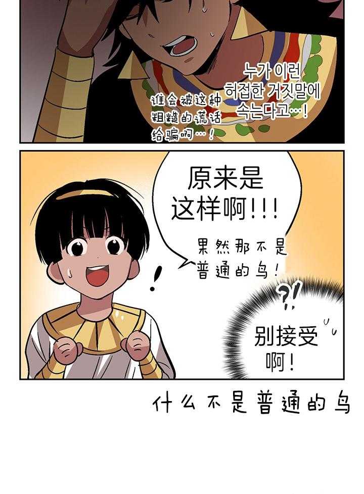 开罗第49话图