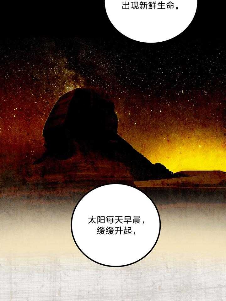 开罗 第55话 第2页
