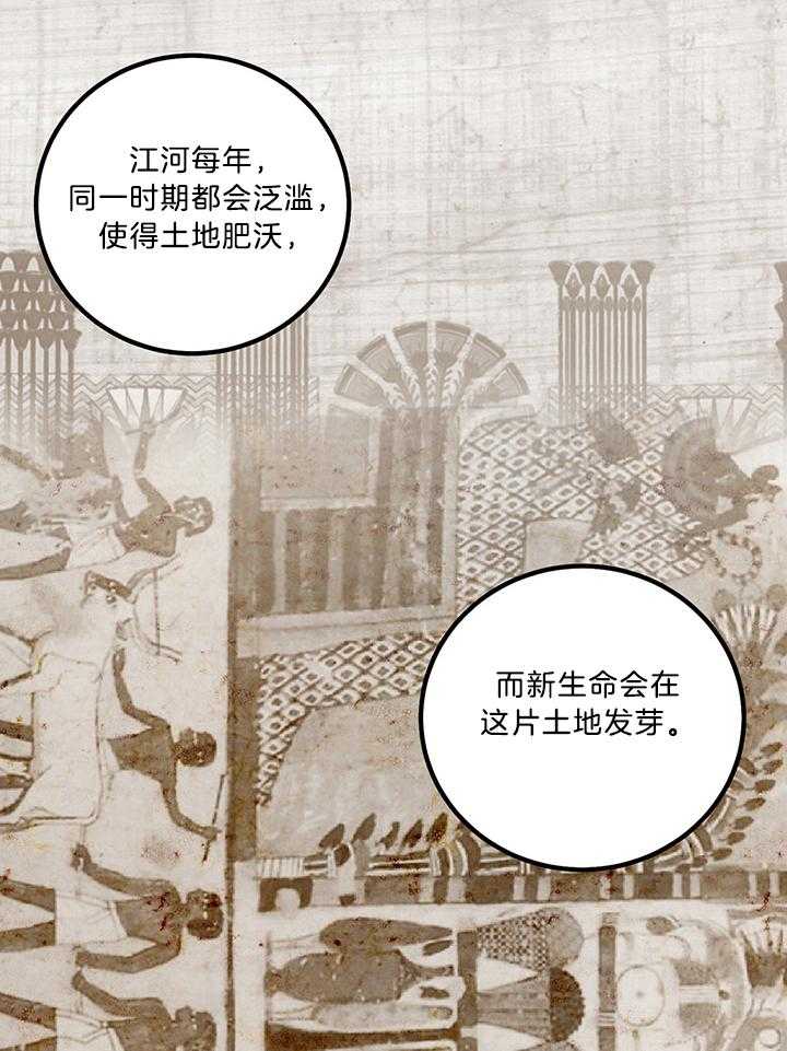 开罗 第55话 第3页