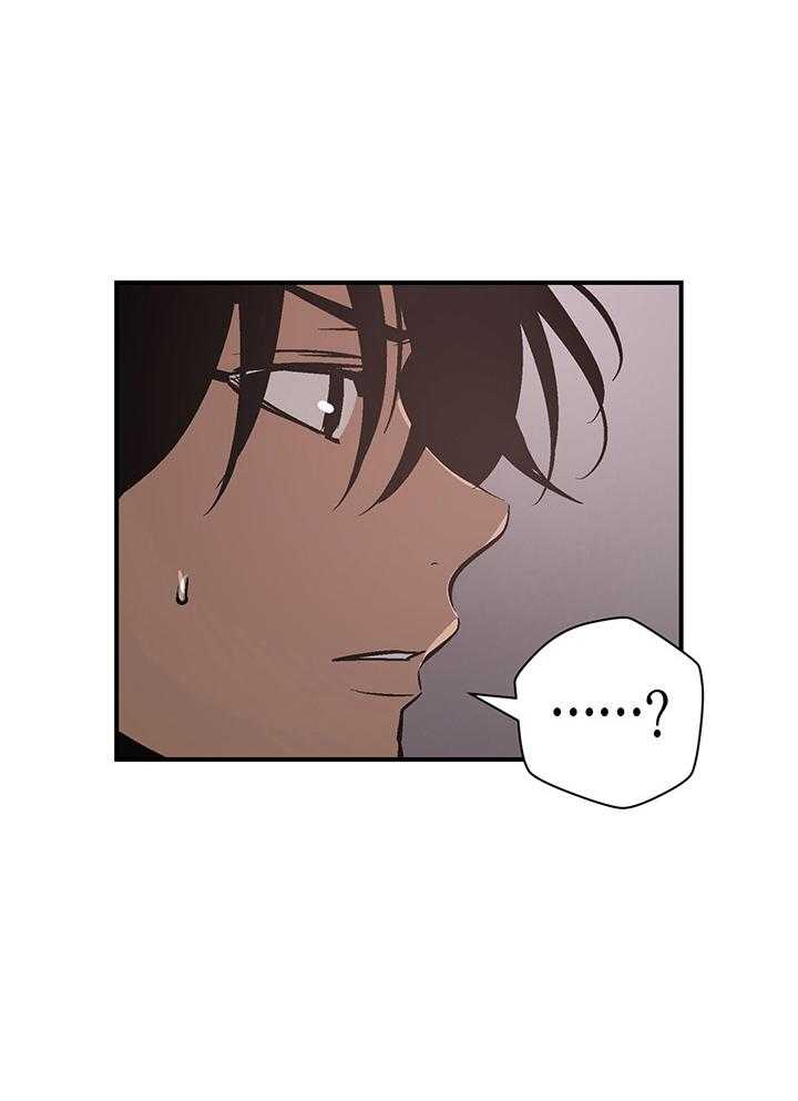 开罗第78话图